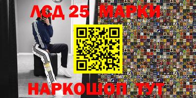 прущие грибы Новодвинск