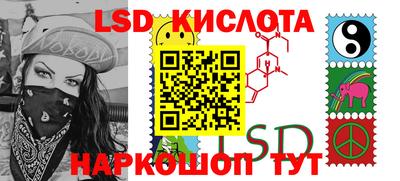 прущие грибы Новодвинск