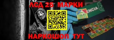 прущие грибы Новодвинск