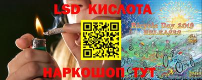 прущие грибы Новодвинск